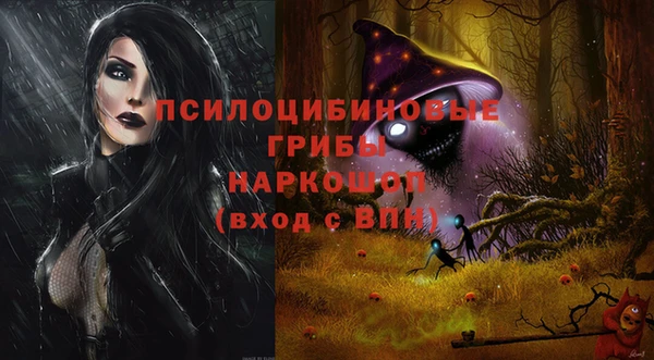 крисы Балахна