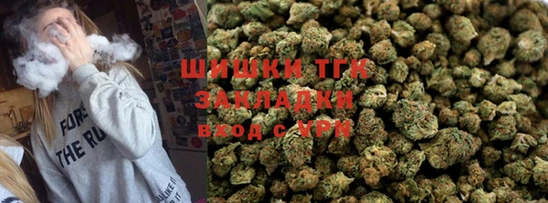 дмт Богородск