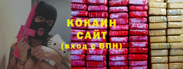 ешки Пересвет