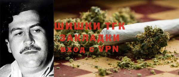 ешки Пересвет