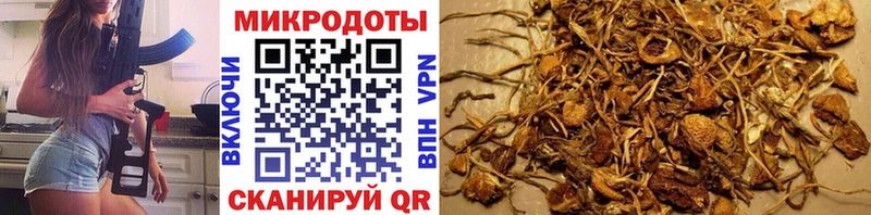ОМГ ОМГ зеркало Богданович Галлюциногенные грибы мицелий
